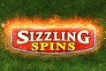 Sizzling Spins